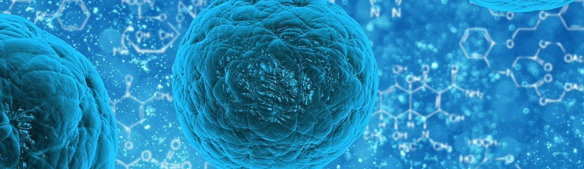Ποια η σχέση ιών και καρκίνου;